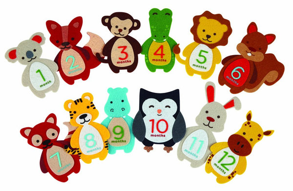 Pearhead HK Sale First year Belly Stickers - BabyPark HK